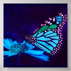 - TBA - Papillon en Bleu clair Poster