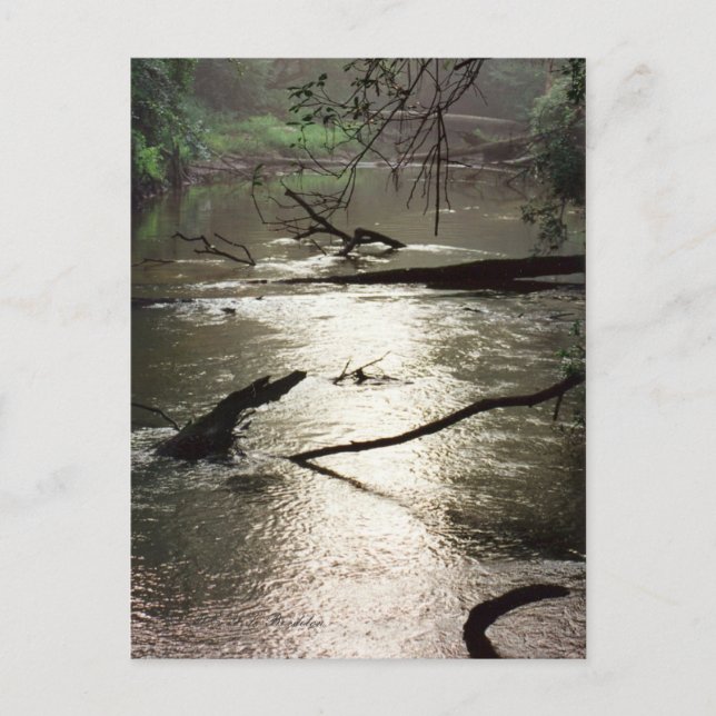 Tchefuncte Glimmer Postkarte (Vorderseite)