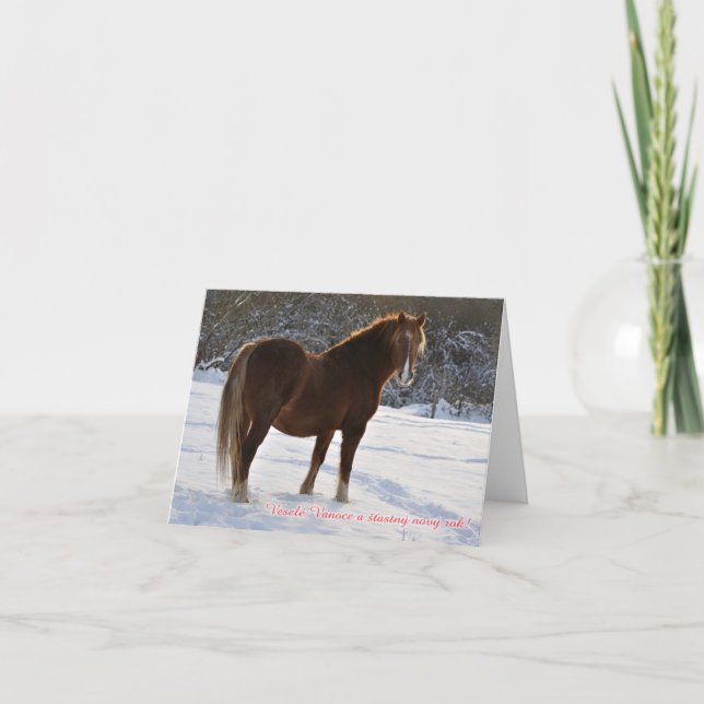 Tchèque, cheval dans la carte de Noël de neige (Devant)