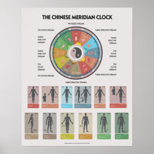 TCM-Meridian-Organuhr-Poster, Chinesische Medizin Poster