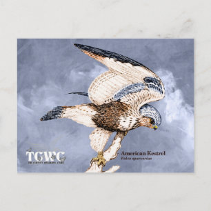TCWC - American Kestrel Illustration with Logo Postkarte