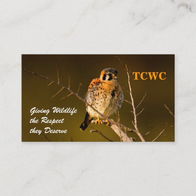 TCWC - Carte de visite de volontaire de crécerelle (Devant)