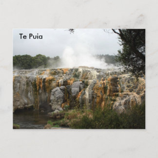Te Puia Postkarte