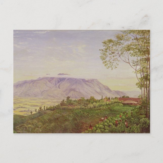 Tea-Ansammlung in Hoelle Postkarte (Vorderseite)