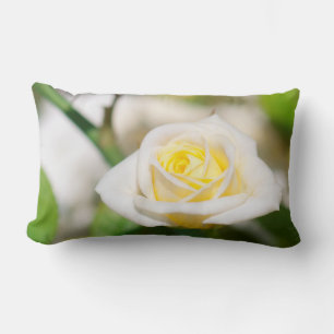 Tea Rose Lendenkissen