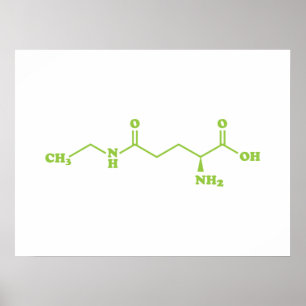 Tea Theanine Molecular Chemical Formel Poster