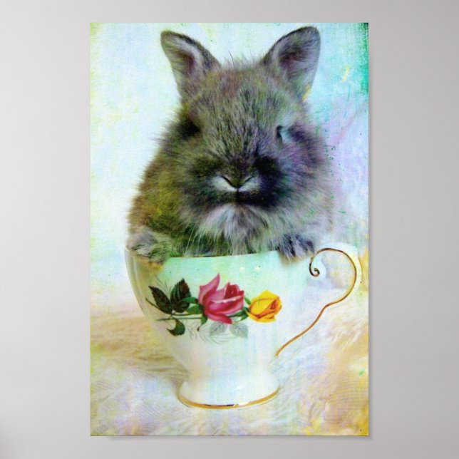 Teacup Bunny Poster (Vorne)