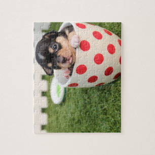 Teacup-Chihuahua-Welpe