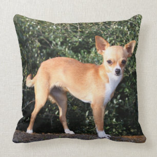 Teacup-Chihuahua-Welpe Kissen