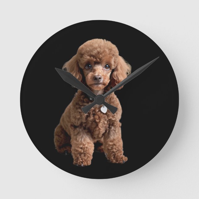 Teacup Poodle 2 Runde Wanduhr (Vorderseite)