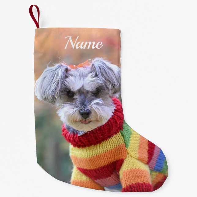Teacup Schnauzer Welpenhund in einem Pullover Kleiner Weihnachtsstrumpf (Vorderseite)