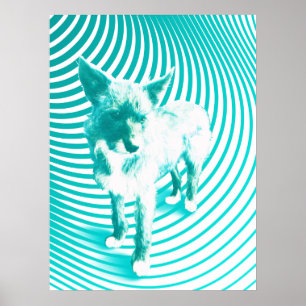 Teal Terrier Poster