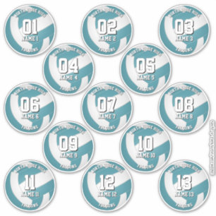 Teal Volleyball Club Farben Aufkleber 13 Athleten