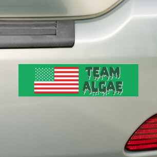 Team Algae Reflecting Pool Lustige Anti-Trump Autoaufkleber