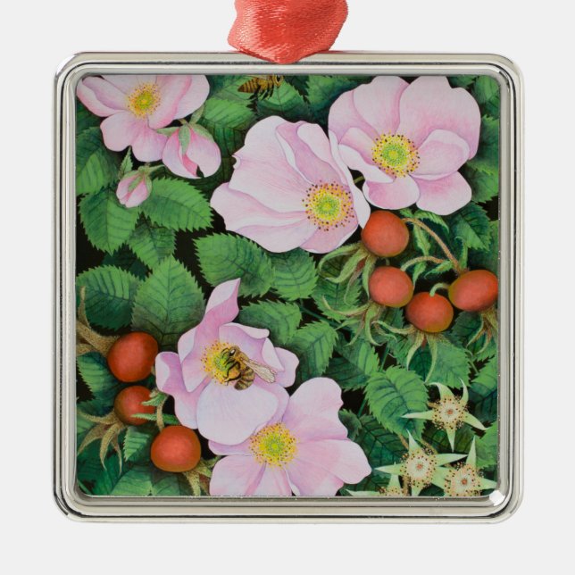 Team-Arbeit 2011 Silbernes Ornament (Vorne)
