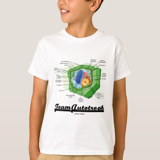 Team Autotroph (Pflanzen-Zellen-Biologie) T-Shirt (Vorderseite)