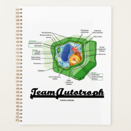 Team Autotrophe Zellbiologie der Pflanze Planer