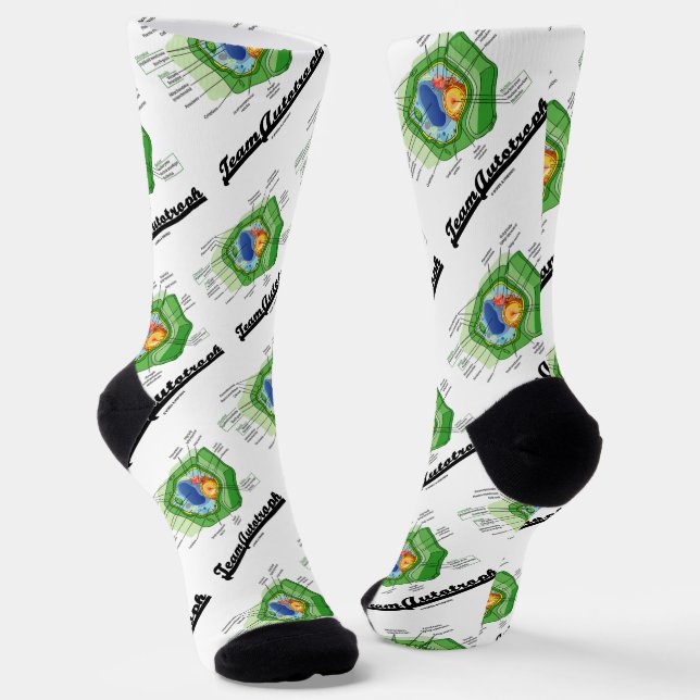 Team Autotrophe Zellbiologie der Pflanze Socken (Gewinkelt)