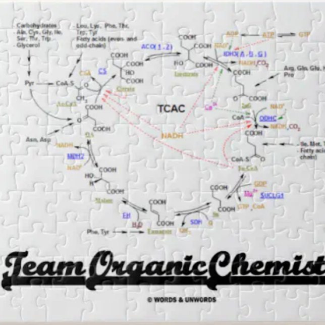 Team Bio Chemie (Krebs Cycle TCAC) (No need to be an organic chemist to enjoy this Krebs cycle (citric acid cycle) jigsaw puzzle.)