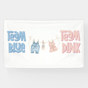 Team Blue und Pink Geschlecht Enthüllung Banner