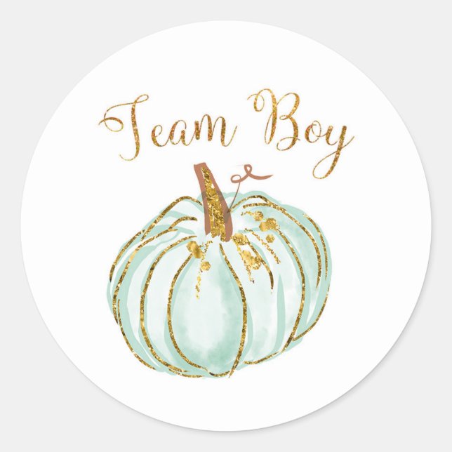 Team Boy Pastel Pumpkin Gender Reveal Spiel Aufkle Runder Aufkleber (Vorderseite)