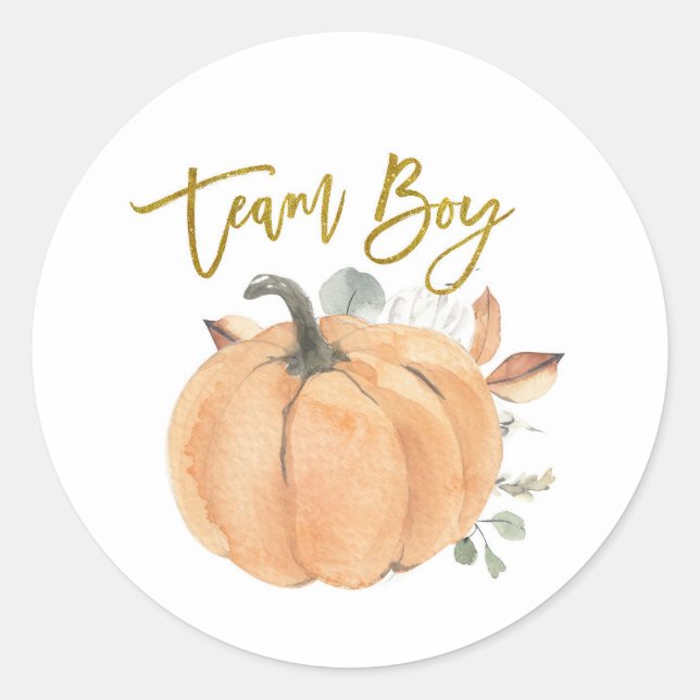 Team Boy Pumpkin Gender Reveal Spiel-Label Runder Aufkleber (Vorderseite)
