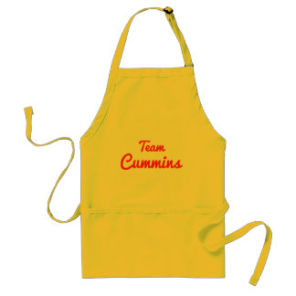 Team Cummins Schürze