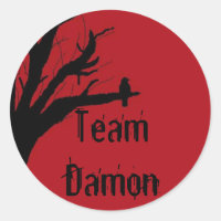 Team Damon Vengeful Crow