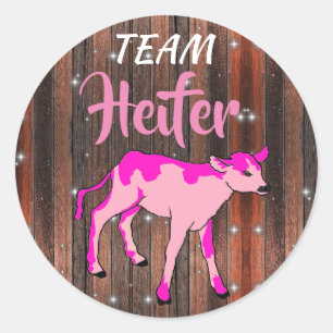 "Team-Färsen-" Rosa-Geschlecht decken auf Runder Aufkleber