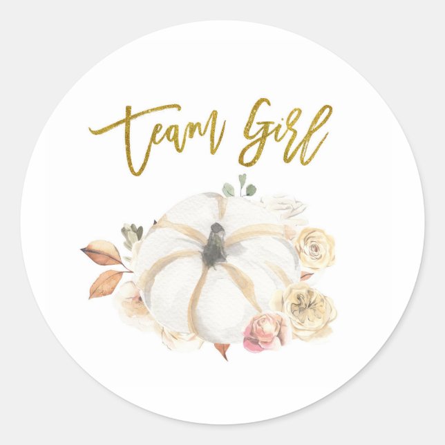 Team Girl Pumpkin Gender Reveal Spiel-Label Runder Aufkleber (Vorderseite)