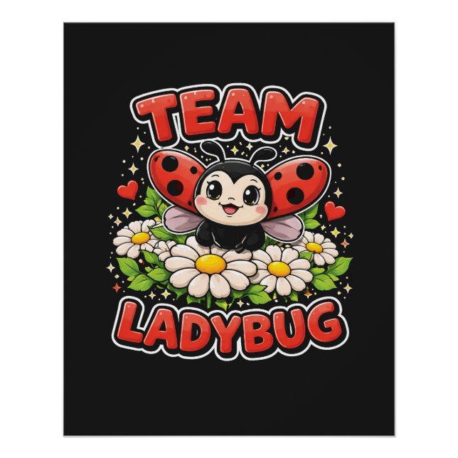 Team Ladybug Poster (Vorderseite)