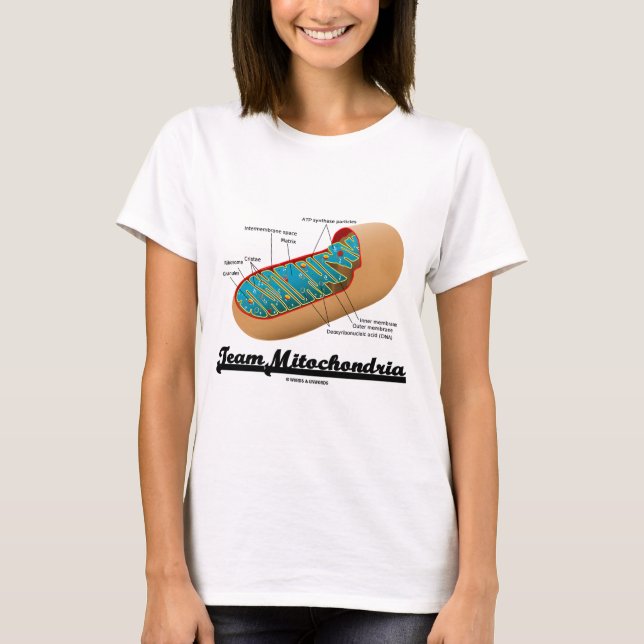 Team-Mitochondrien (Mitochondrion Spaß) T-Shirt (Vorderseite)