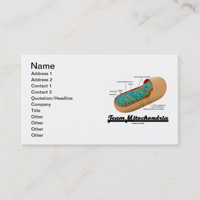 Team-Mitochondrien (Mitochondrion Zellen-Energie) Visitenkarte (Vorderseite)