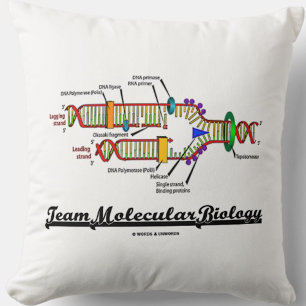Team-Molekularbiologie (DNS-Reproduktion) Kissen