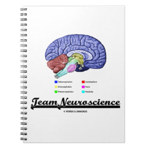 Team-Neurologie (Gehirn-Anatomie-Haltung) Notizblock