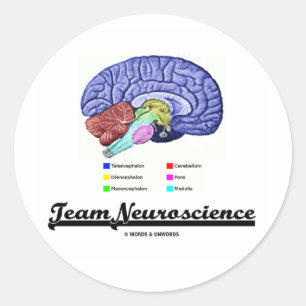 Team-Neurologie (Gehirn-Anatomie-Haltung) Runder Aufkleber
