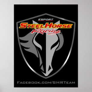 Team Poster
