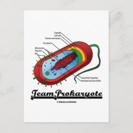 Team Prokaryote (Bakterien) Postkarte