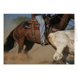Team-Roping Cowboy, der eine Ochse-Western-Karte