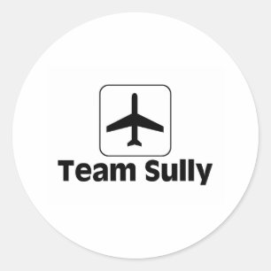 Team Sully Runder Aufkleber