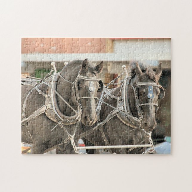 Team Woork (Horizontal)