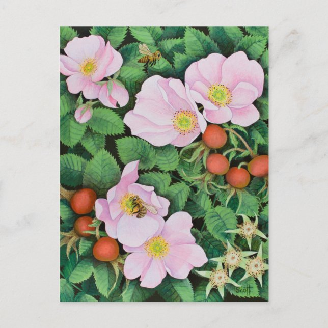 Teamarbeit 2011 postkarte (Vorderseite)