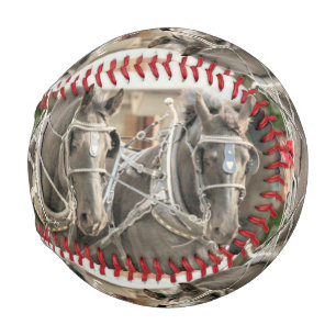 Teamarbeit Baseball