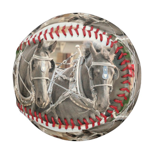 Teamarbeit Baseball (Rückseite Links)