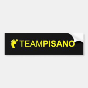 TeamPisano Autoaufkleber