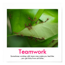 TEAMWORK-Demotivationspaket