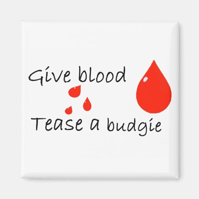Tease a Budgie Magie Magnet (Vorne)