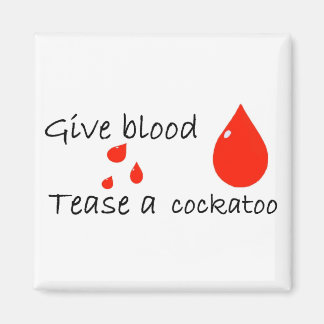 Tease ein Kakadu Magnet