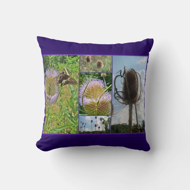 Teasel Thistle - Dipsacus fullonum Kissen (Vorderseite)