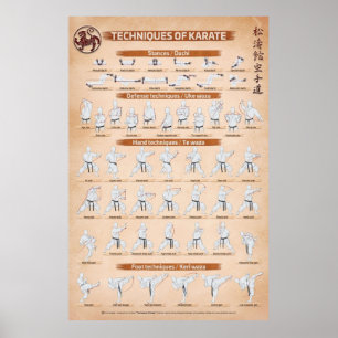 TECHNIK VON KARATE VON Fiore Tartaglia Poster